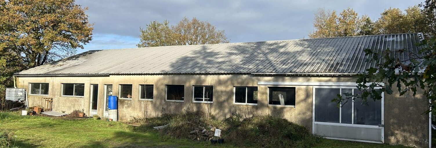 Commerce  400 m² à vendre à Mauves-sur-Loire (44470)