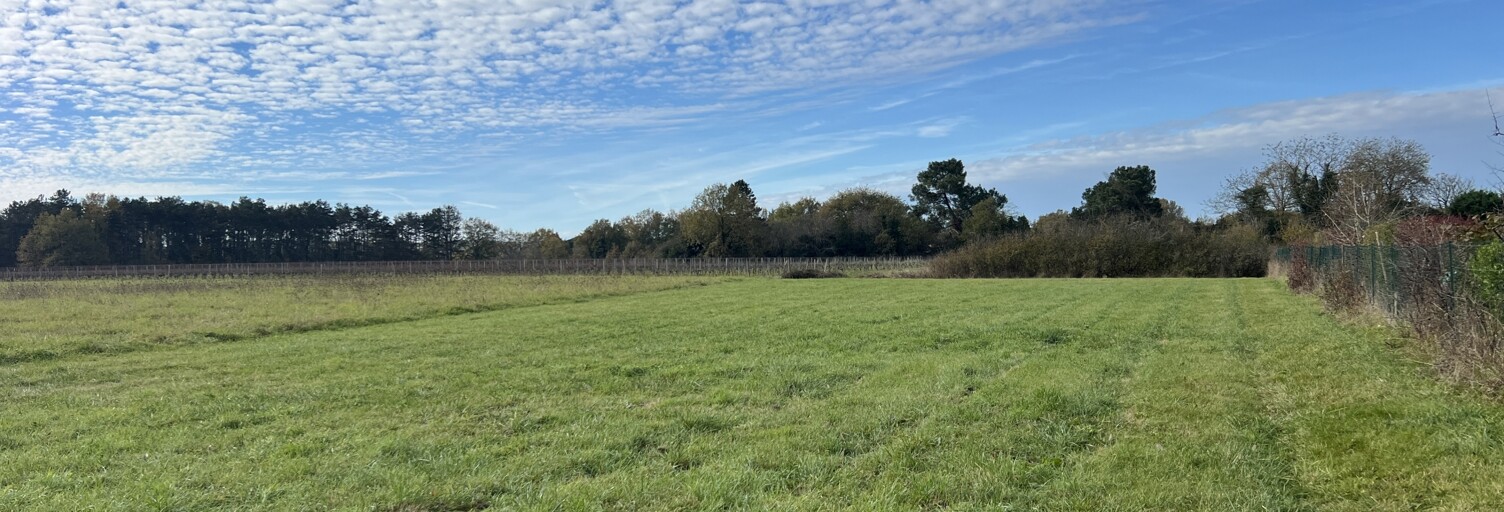 Terrain  1500 m² à vendre à Fronton (31620)