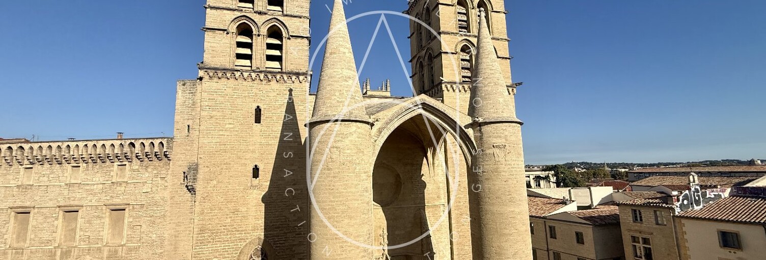 Appartement 4 Pièces 149 m² à vendre à Montpellier (34000)