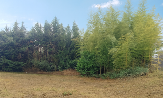 Terrain  450 m² à vendre à Dommartin (69380)