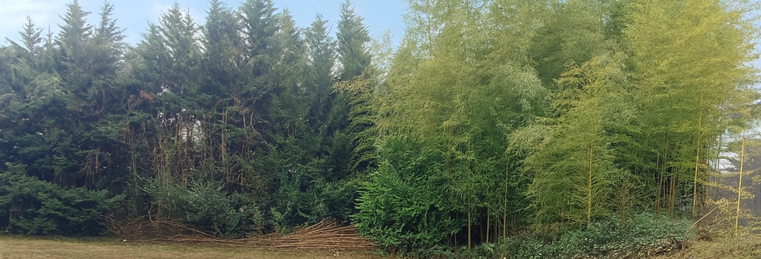 Terrain  300 m² à vendre à Marcy-l'Étoile (69280)