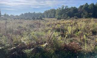 Terrain 760 m² à construire Carcans (33121)