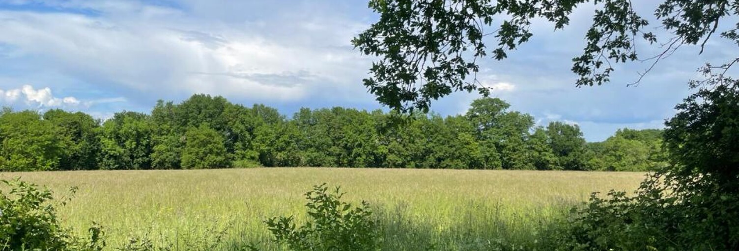 Terrain 640 m² à construire Margaux-Cantenac (33460)