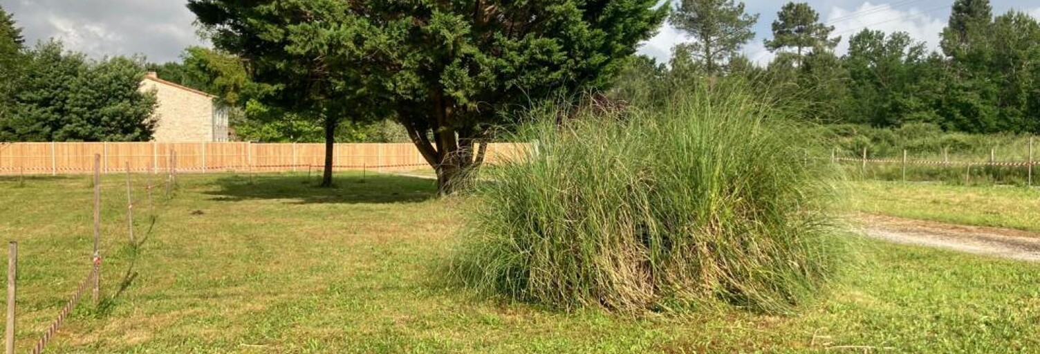 Terrain 432 m² à construire Margaux-Cantenac (33460)