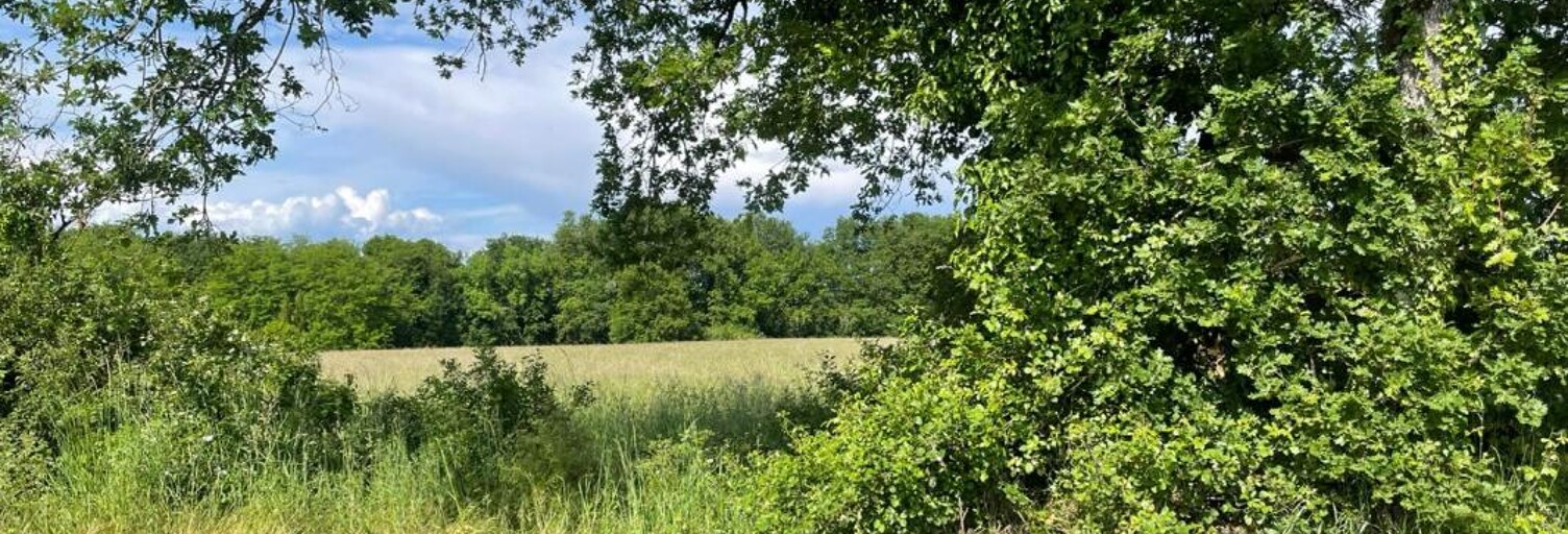 Terrain 870 m² à construire Saint-Sauveur (33250)