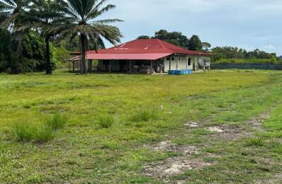 Exceptionnelle Maison a rénover sur 5000 m2 Bois d'opale — photo du bien