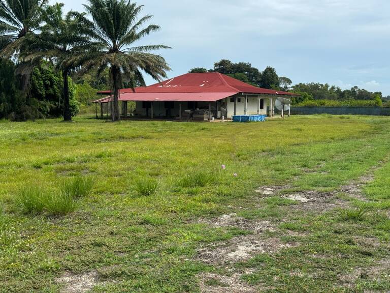 Exceptionnelle Maison a rénover sur 5000 m2 Bois d'opale — photo 1