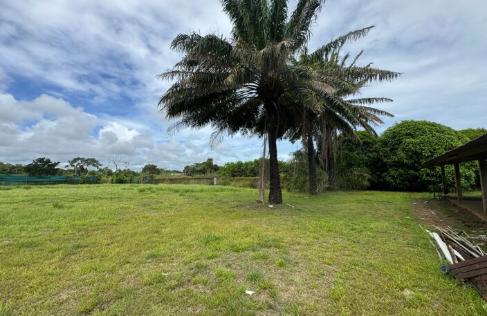 Exceptionnelle Maison a rénover sur 5000 m2 Bois d'opale — photo 4