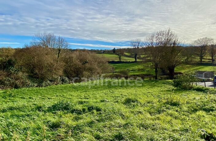 Terrain à vendre Quinssaines (03) 1352m² - Cadre verdoyant - Forêt — photo 4