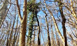 Terrain  1886 m² à vendre à Ronquerolles (95340)