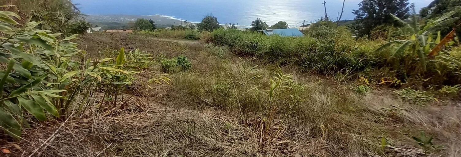 Terrain  1397 m² à vendre à Saint-Leu (97416)