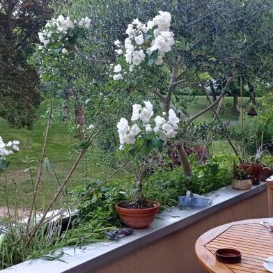 Appartement 1 pièces 650 €