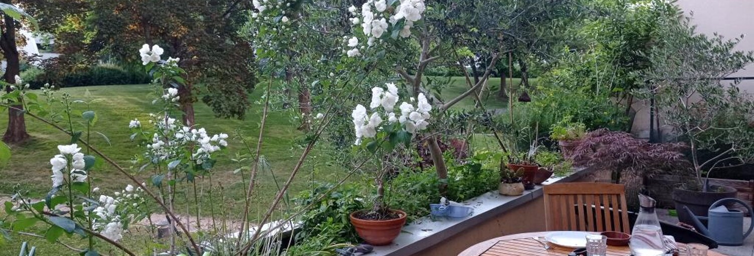 Appartement 1 Pièce 19 m² à louer à Verrières-le-Buisson (91370)