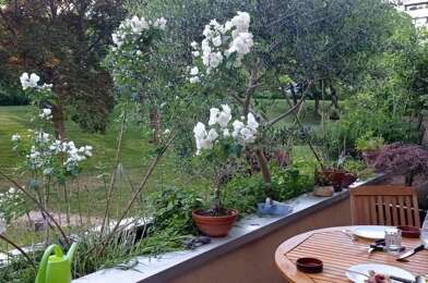 Appartement 1 pièces 595 €