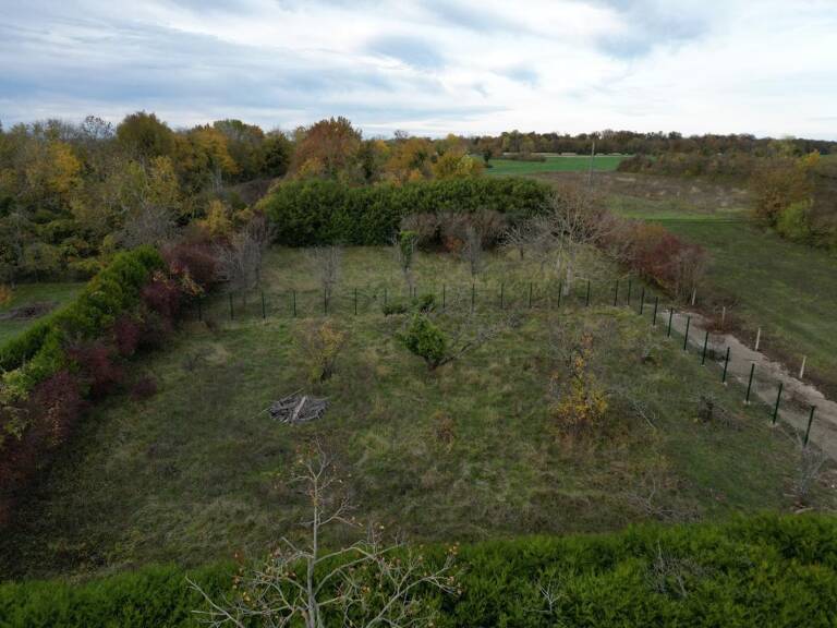 Terrain À Vendre — photo 1