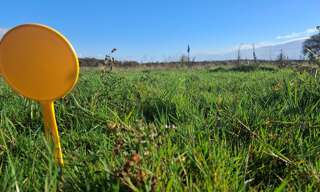 Terrain  647 m² à vendre à Teillay (35620)