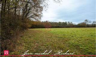 Terrain  24590 m² à vendre à Billy (41130)