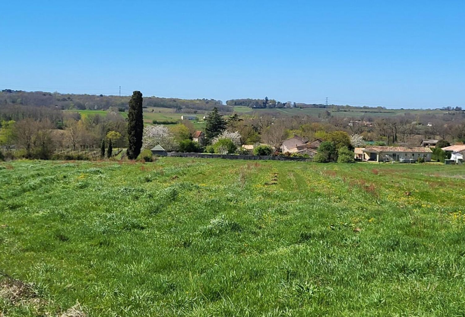 33220 proche Pineuilh Terrain pour reboisement  d'une superficie de 6ha 37 avec contrat — photo 1