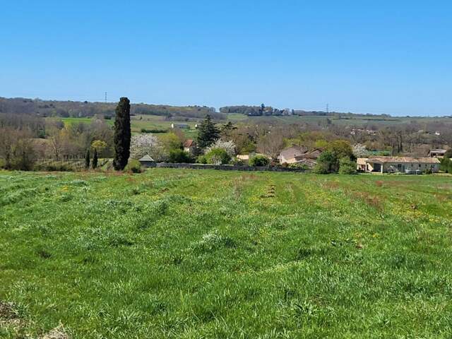 33220 proche Pineuilh Terrain pour reboisement  d'une superficie de 6ha 37 avec contrat — photo du bien