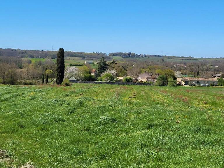 33220 proche Pineuilh Terrain pour reboisement  d'une superficie de 6ha 37 avec contrat — photo 1