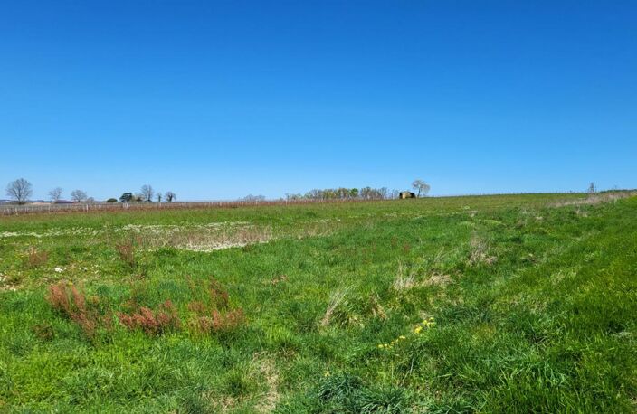 33220 proche Pineuilh Terrain pour reboisement  d'une superficie de 6ha 37 avec contrat — photo 2