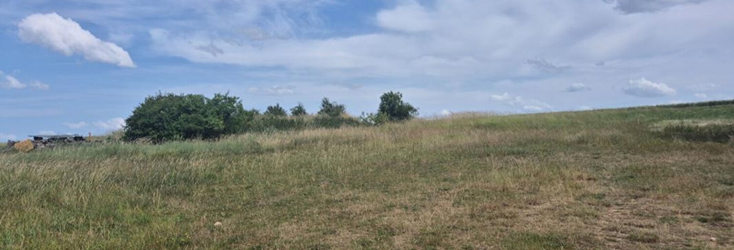 Terrain  1500 m² à vendre à La Chapelle-Saint-Martin-en-Plaine (41500)