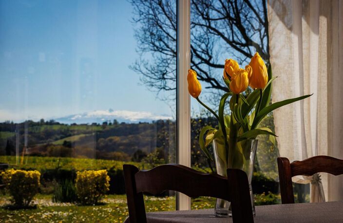 Belle maison de 6 pièces avec une magnifique vue sur les Pyrénées — photo 5