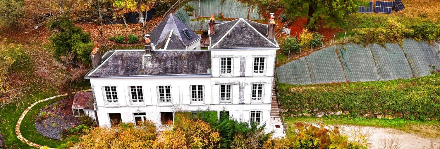 Maison 9 Pièces 259 m² à vendre à Vendôme (41100)