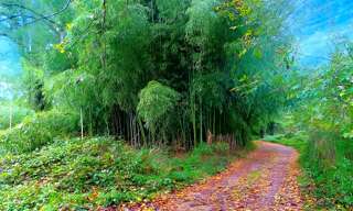 Terrain  3192 m² à vendre à Lescure-d'Albigeois (81380)