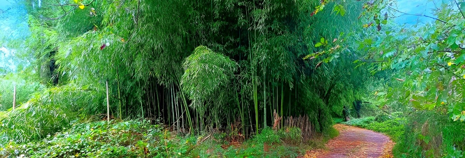 Terrain  3192 m² à vendre à Lescure-d'Albigeois (81380)