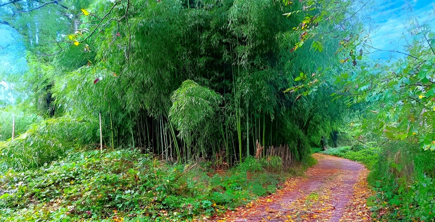 Terrain — photo 1