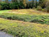 Terrain — photo 4