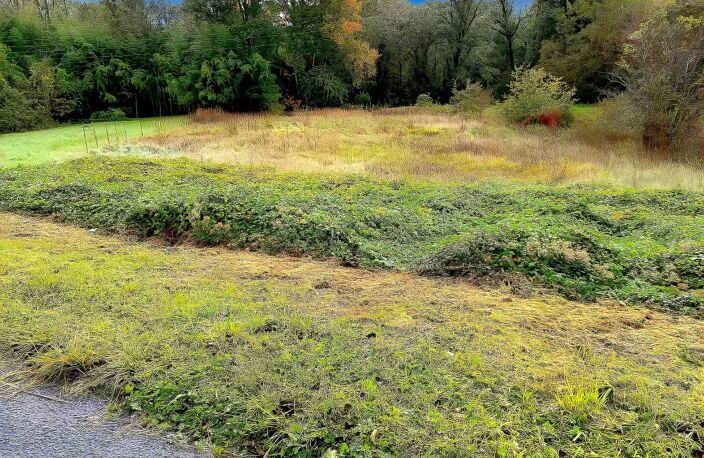 Terrain — photo 4
