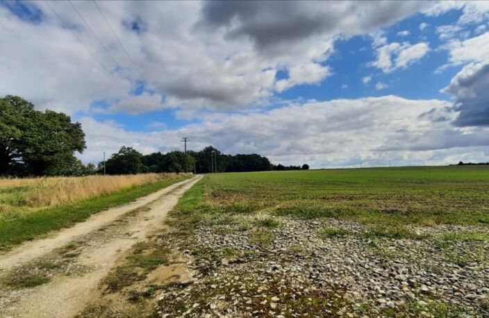 Vente maison 8 pièces 220 m² Poulaines (36210) — photo 4