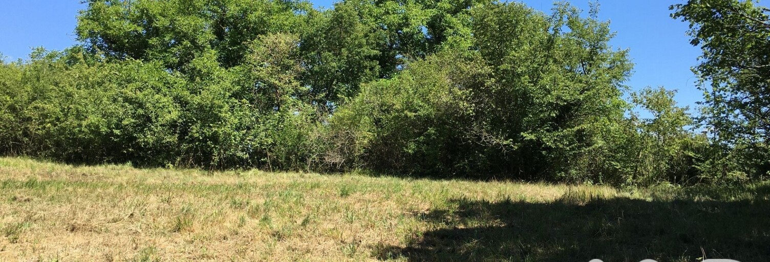 Terrain  16285 m² à vendre à Vivonne (86370)