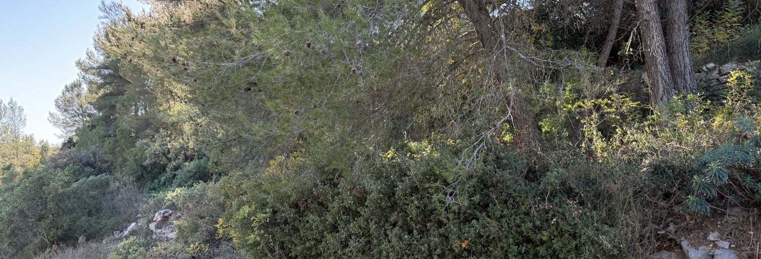 Terrain  408 m² à vendre à Le Luc (83340)