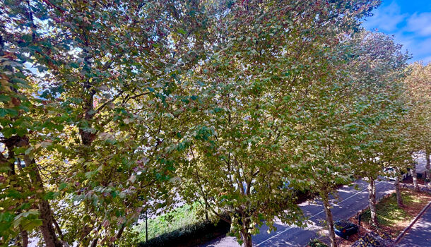 Appartement 3 pièces  à vendre Grenoble 38000