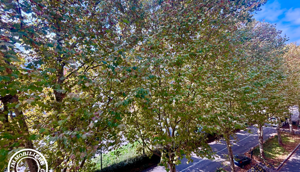 Appartement 3 pièces  à vendre Grenoble 38000