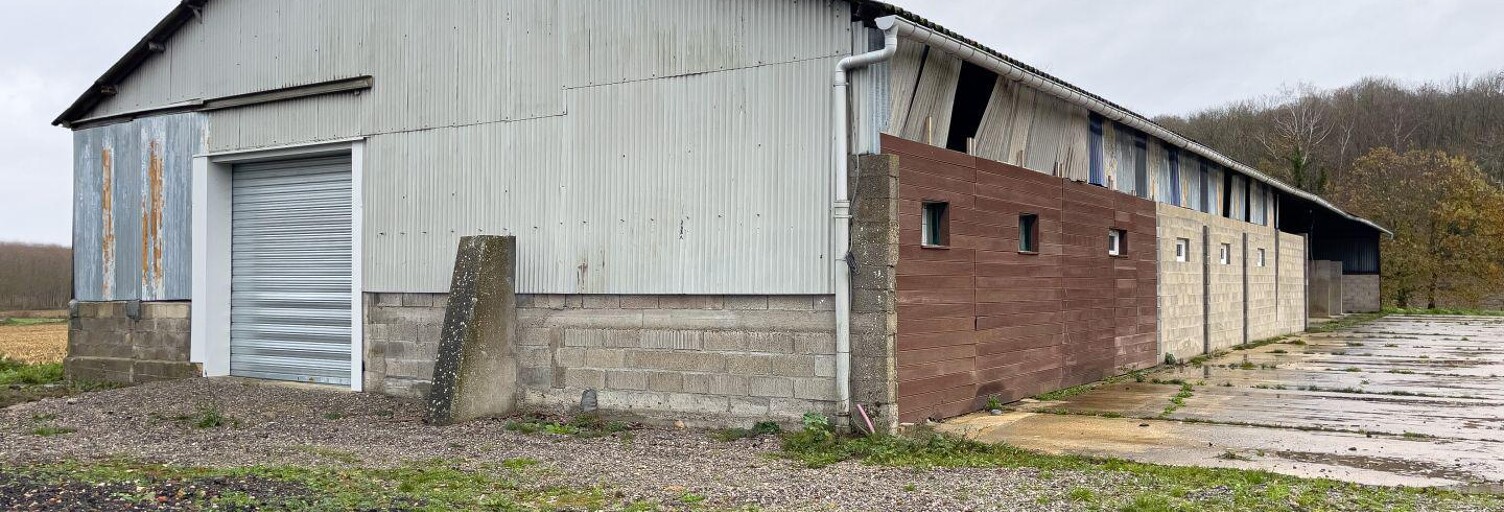 Commerce  730 m² à vendre à Berville (95810)