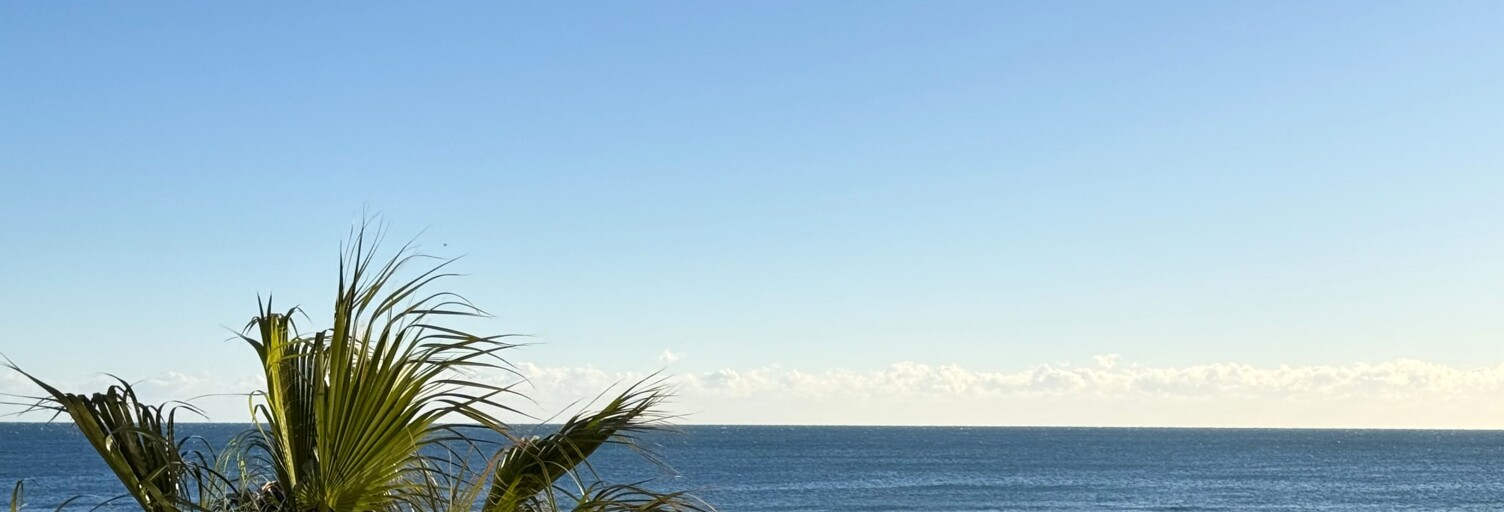 Appartement 3 Pièces 48 m² à vendre à Canet-en-Roussillon (66140)