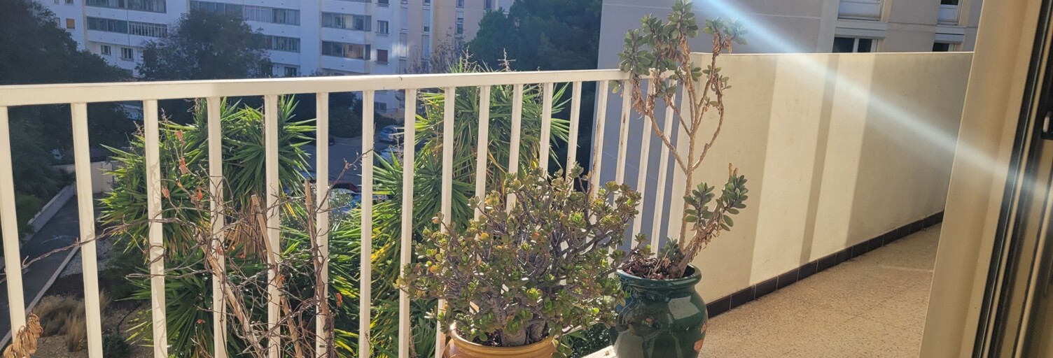Appartement 3 Pièces 73 m² à vendre à Toulon (83000)