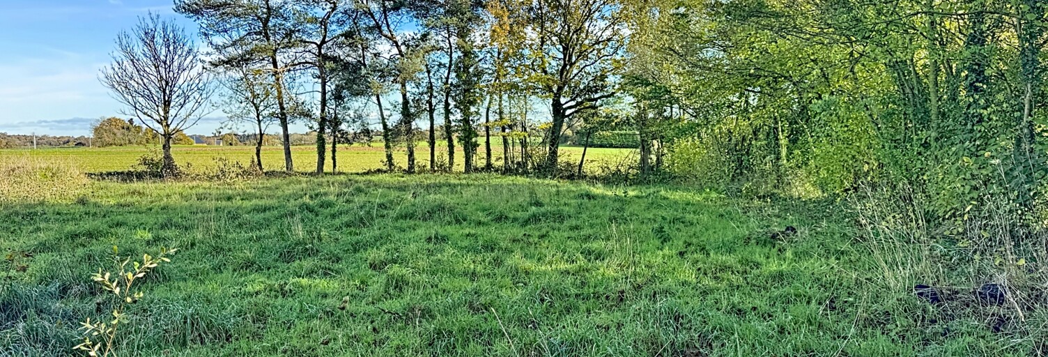 Terrain  875 m² à vendre à Plélo (22170)