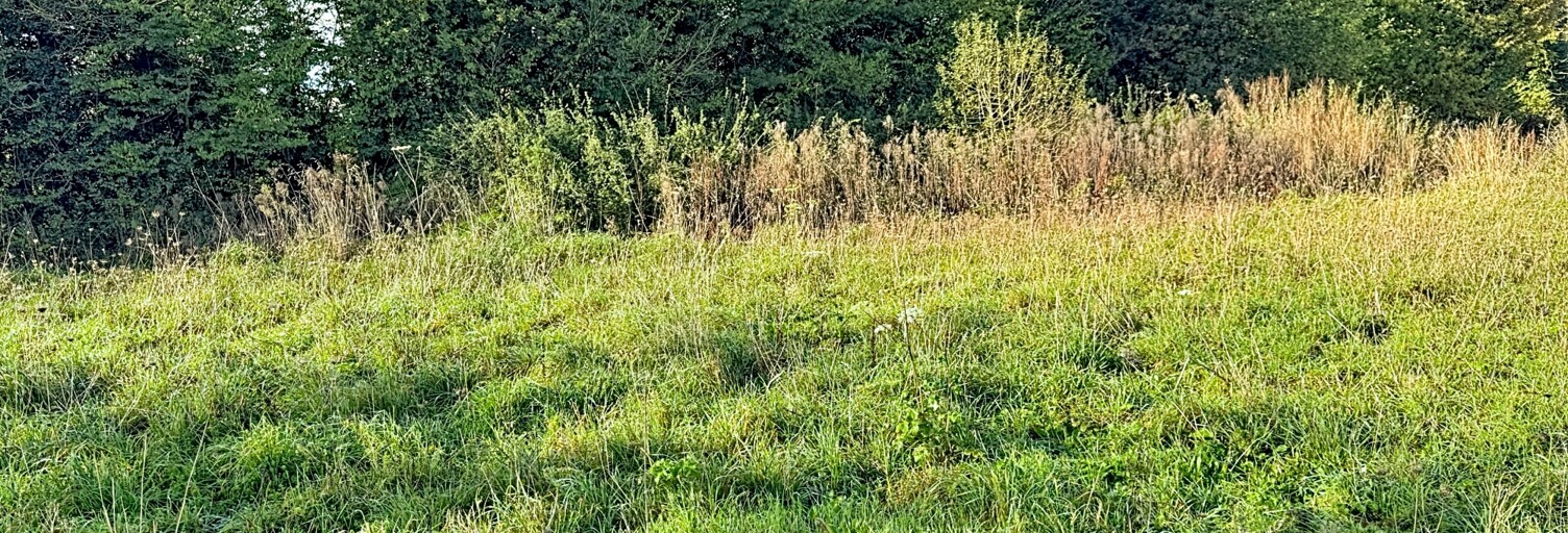 Terrain  875 m² à vendre à Plélo (22170)