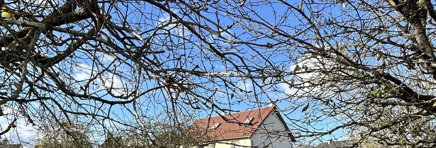 Maison 6 Pièces 111 m² à vendre à Ducey-les-Chéris (50220)