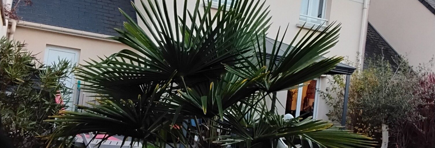 Maison 5 Pièces 80 m² à vendre à Blainville-sur-Orne (14550)