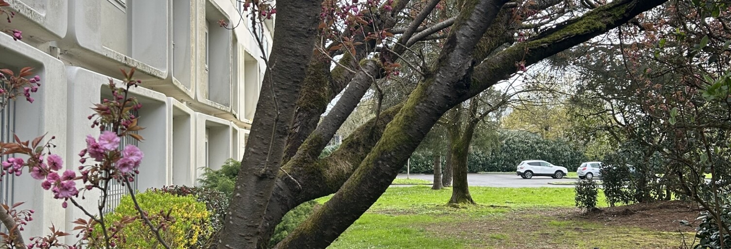 Appartement 1 Pièce 22 m² à vendre à Carquefou (44470)