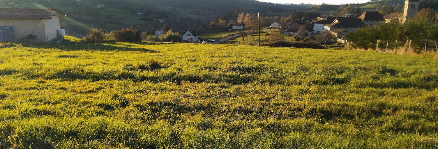 Terrain  1025 m² à vendre à Belleroche (42670)