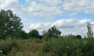 Terrain  5174 m² à vendre à Montpon-Ménestérol (24700)