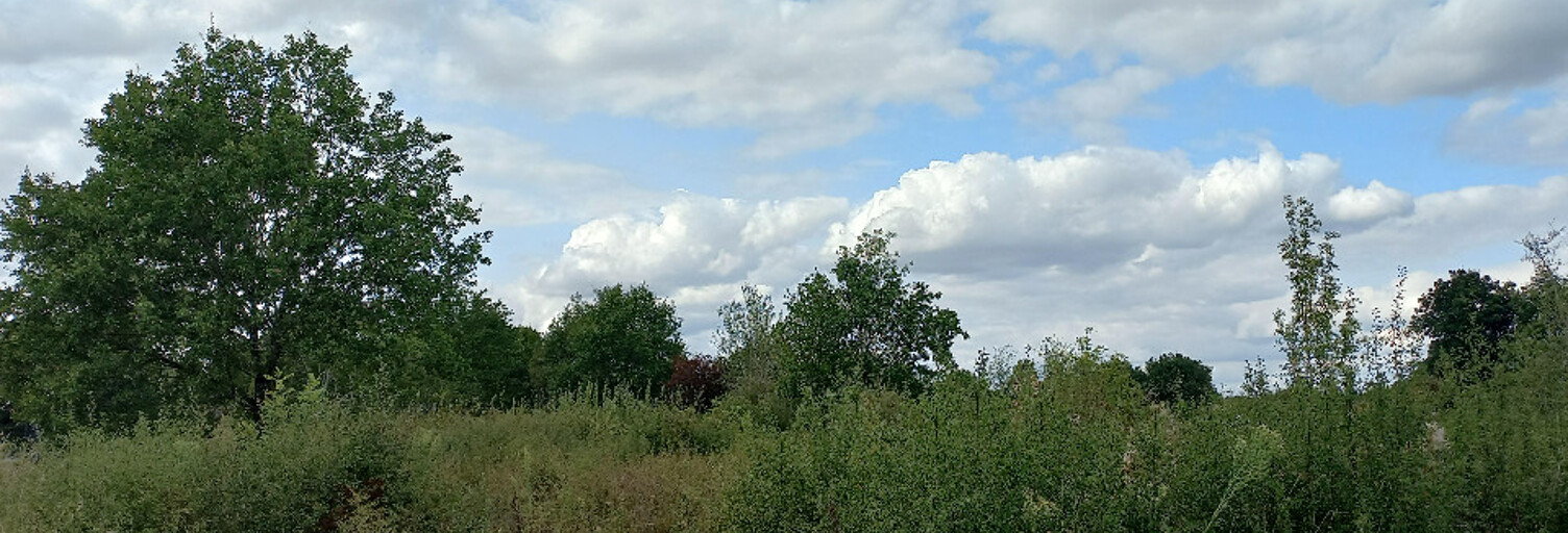 Terrain  5174 m² à vendre à Montpon-Ménestérol (24700)