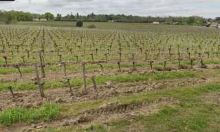 Terrain  320 m² à vendre à La Lande-de-Fronsac (33240)